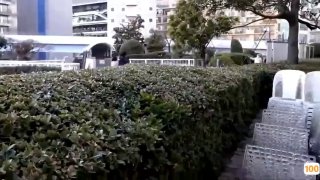 高清欧美一区二区⭕❌欧美精品A片XXX⭕❌欧美性猛交XXXX乱大交极品-无码av电影在线观看不卡